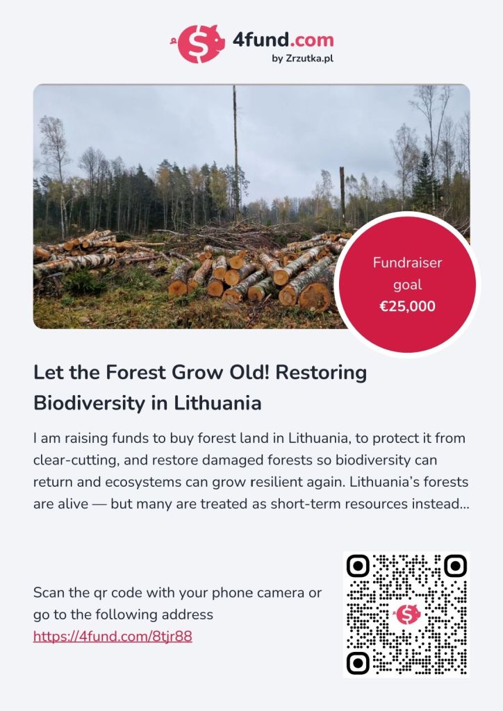 poster_260205_153903_260205_172209287564388021462167