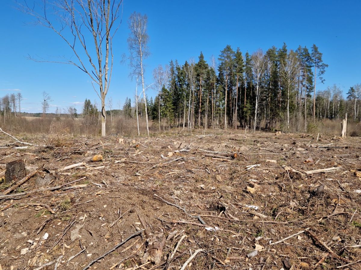 Resilience in Climate&nbsp;Change